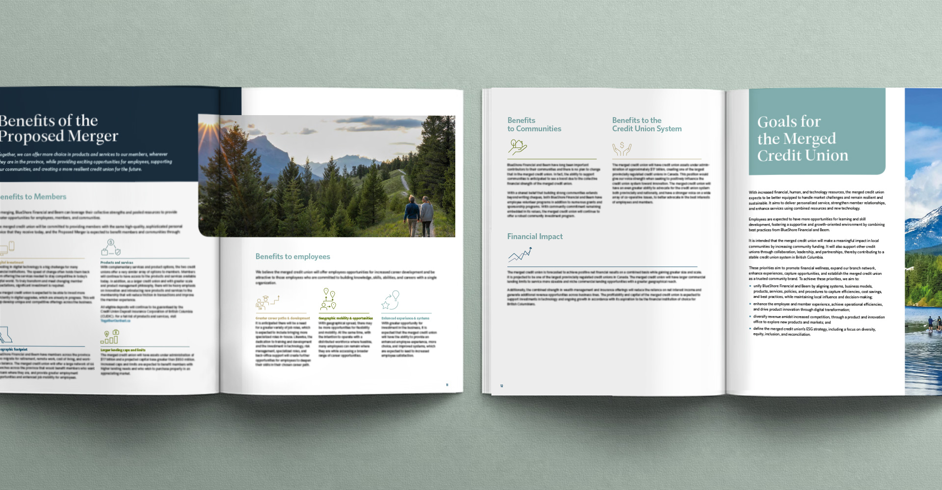 BlueShore Merger book 1